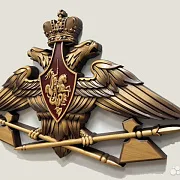 Резной герб МТО ВС РФ из бука — красивый подарок — фотография 3
